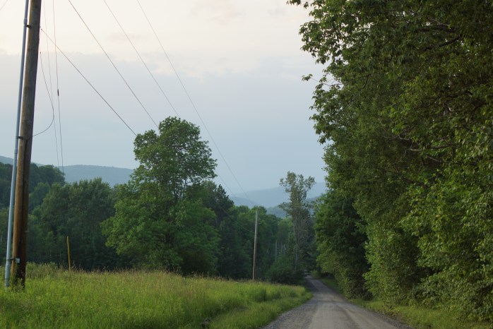 View North from Eagle Peak Rd.